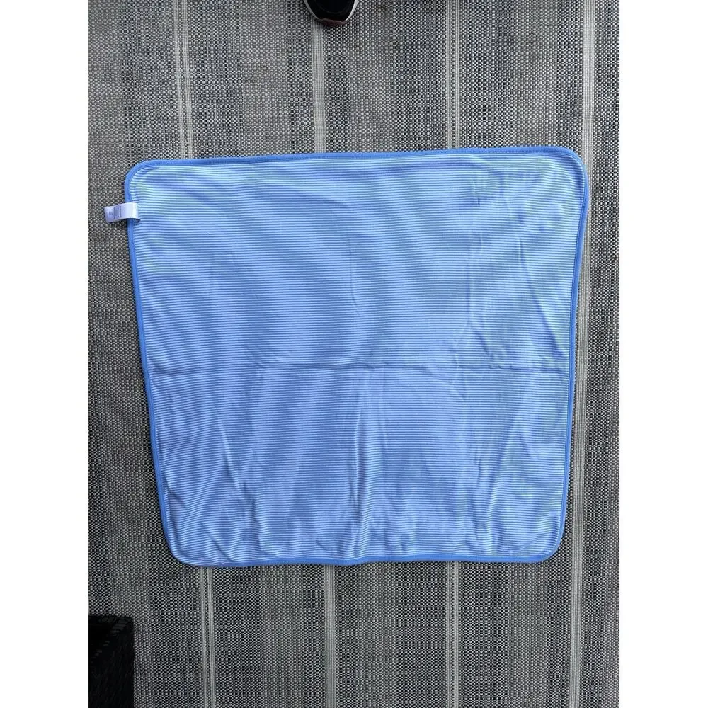 Gymboree Little Golden Books Poky Little Puppy Dog Stripe Baby Blanket Blue